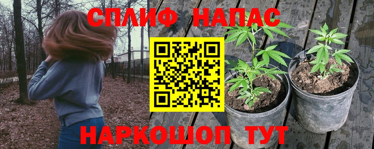 Бошки Шишки OG Kush Кинешма